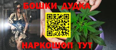 молекула духа Партизанск