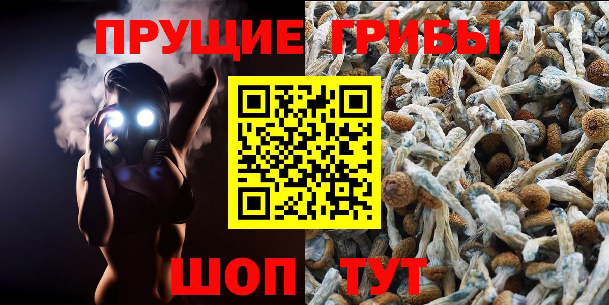 Пушкино  Псилоцибиновые грибы Cubensis  Вход с VPN 
