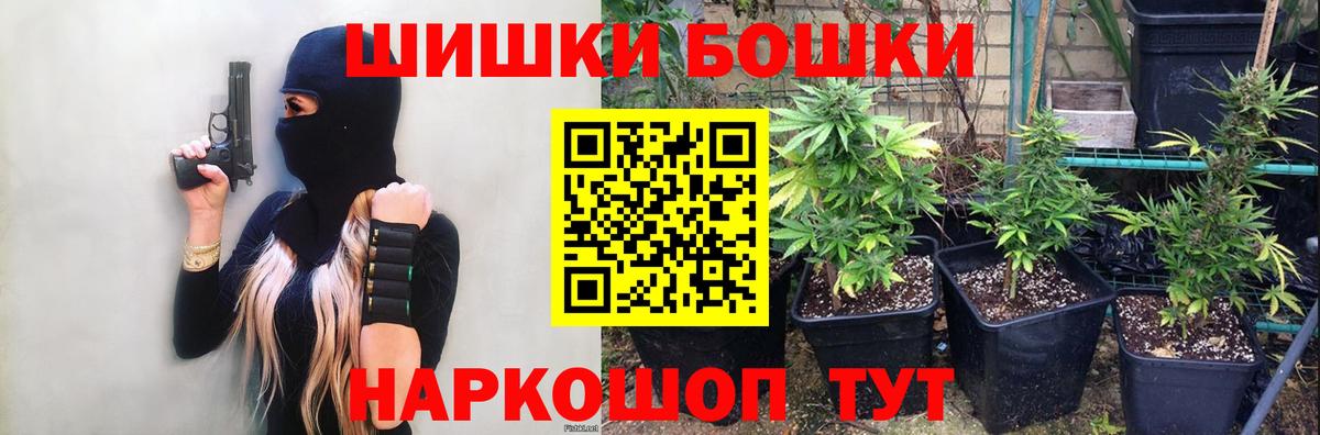 Пушкино  Каннабис Bruce Banner  Вход с VPN  Каннабис OG Kush  Канабис Bruce Banner 